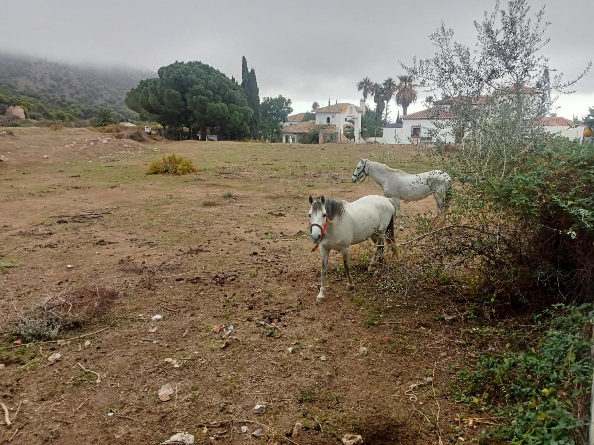 Casa Blanquita Apartman Mijas Kültér fotó